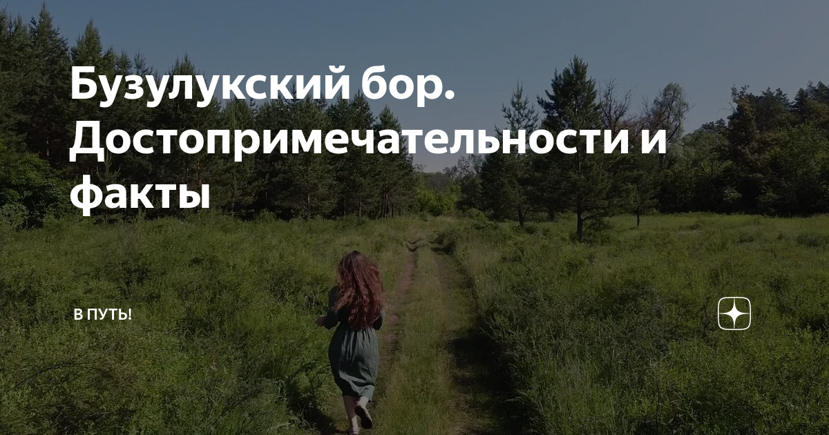 Бузулукский бор. Достопримечательности и факты | @Vputnap В путь ...