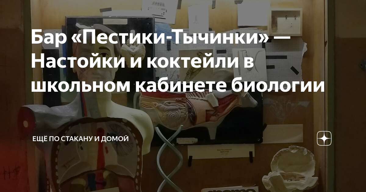 Бар «Пестики-Тычинки» — Настойки и коктейли в школьном кабинете ...