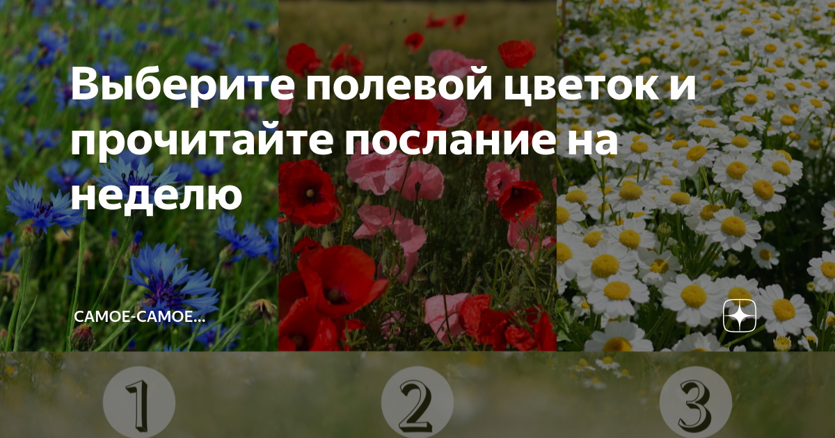 Много полотенец поникший цветок лучший праздник семерыми участниками поклади на стол