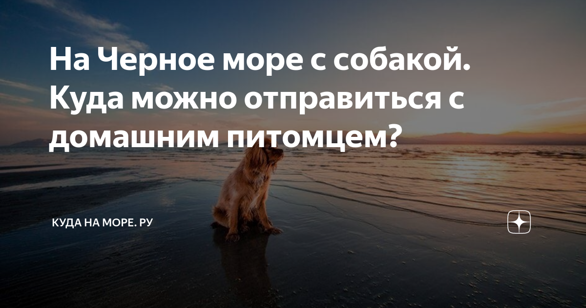куда можно с собакой в санкт-петербурге
