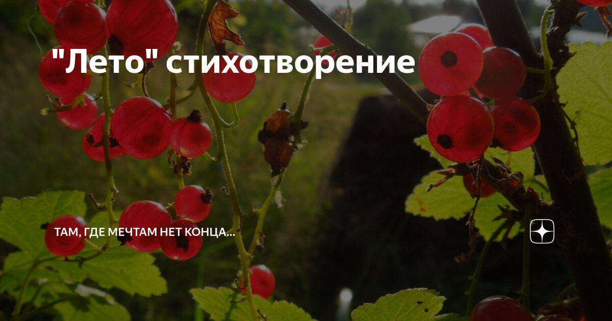 "Лето" стихотворение | Музей стихотворений | Дзен