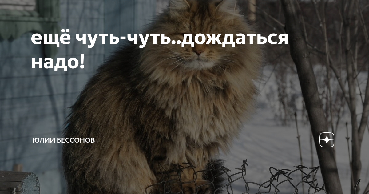 ещё чуть-чуть..дождаться надо! | Юлий Бессонов | Дзен