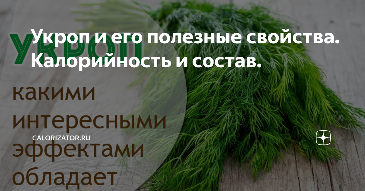 Петрушка пищевая ценность в 100 гр. Укроп калории. Укроп состав и калорийность. Петрушка состав витаминов. Пищевая ценность овощей таблица на 100 грамм.
