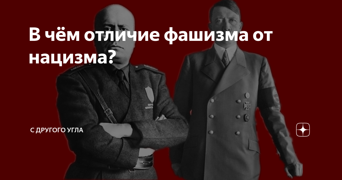 Разница между нацистом и националистом. Отличие фашизма от нацизма. Отличия итальянского фашизма от германского национал социализма. Чем отличается фашист от националиста. В чем отличие фашистов от нацистов.