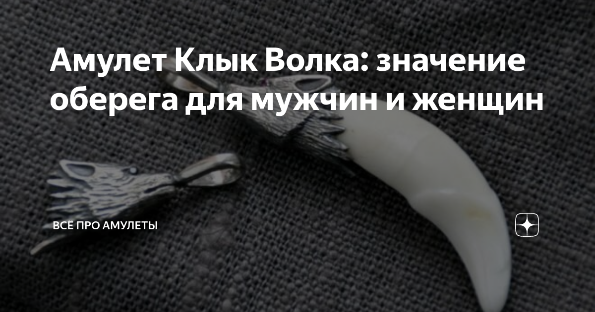 Клык Волка от 5 см в оправе - Логово Волка — интернет магазин амулетов и талисманов