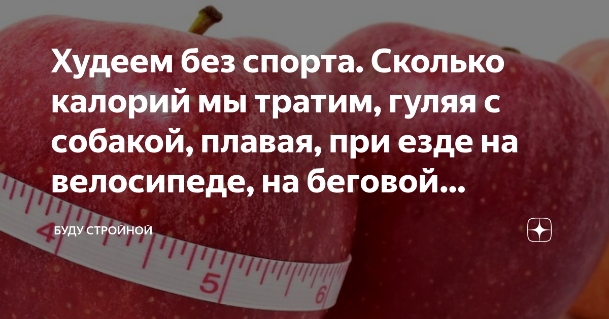 Худеем без спорта. Сколько калорий мы тратим, гуляя с собакой, плавая, при  езде на велосипеде, на беговой дорожке | Буду стройной и с покупками | Дзен