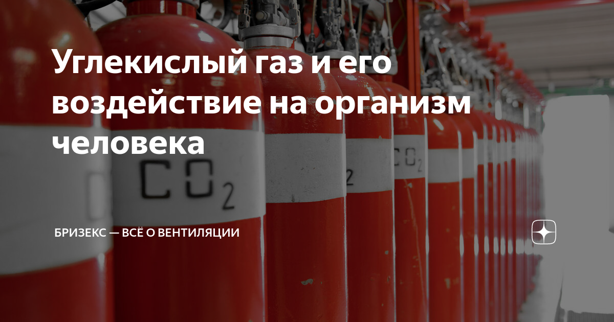 CO2 в теплице и гроубоксе или преимущество использования CO2 для растений