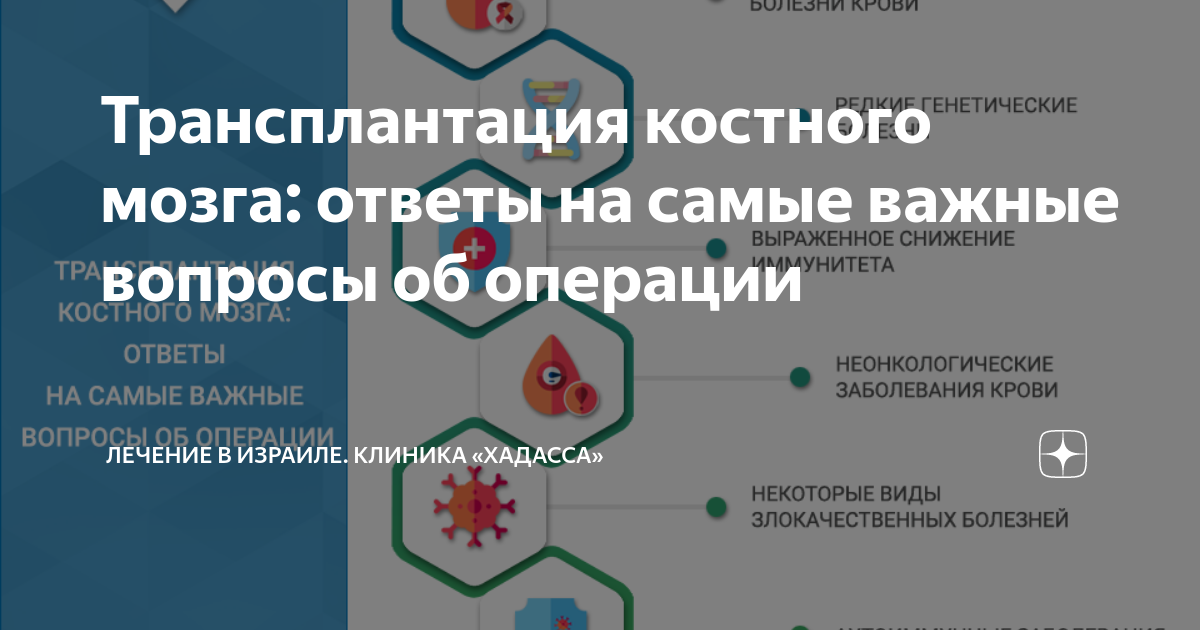 Стволовые клетки костного мозга. Трансплантация костного мозга что это. Трансплантация костного мозга что это. Трансплантация костного мозга что это. Стань донором костного мозга.