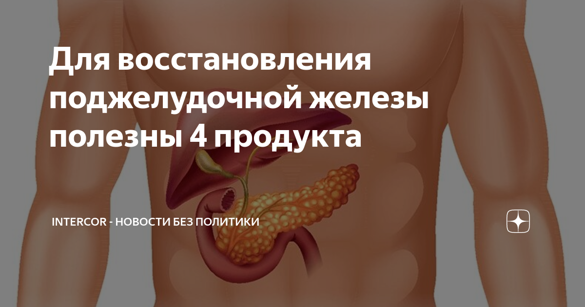 Восстановка поджелудочной. Регенерация поджелудочной железы. Липома поджелудочной железы. Болит поджелудочная железа.