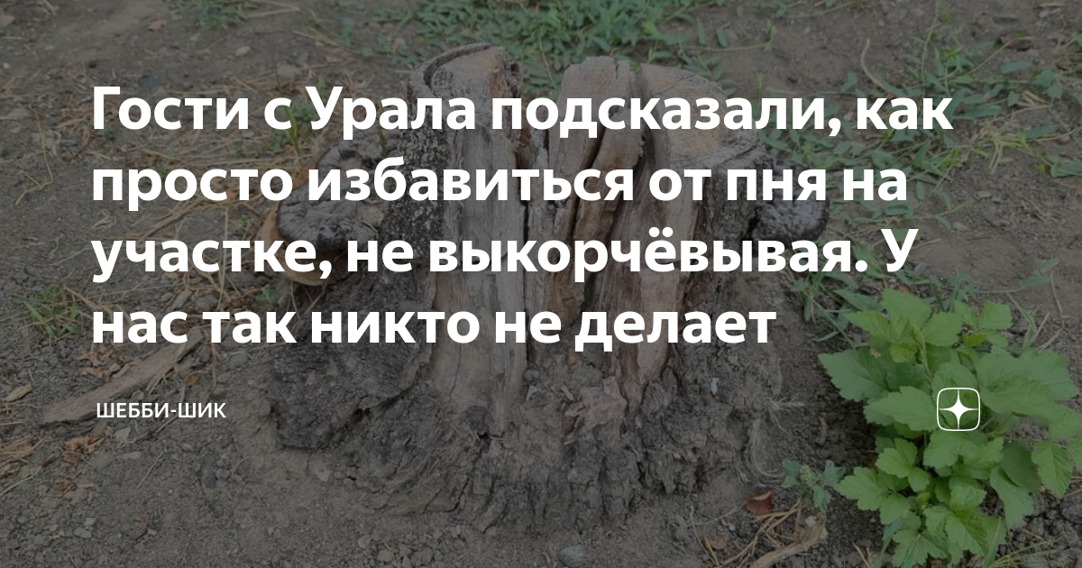 проще прогнать