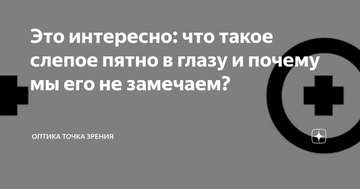 Это интересно: что такое слепое пятно в глазу и почему мы его не ...