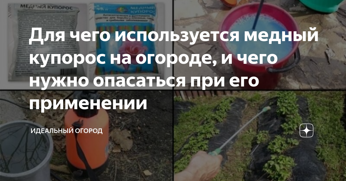 Для чего используется медный купорос на огороде, и чего нужно опасаться ...