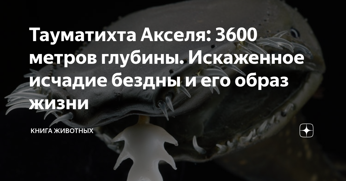 Как тебя величать. Можете величать меня исчадием ада. Песня можете величать меня. Сохраненки с цитатами. Женщина исчадие ада.