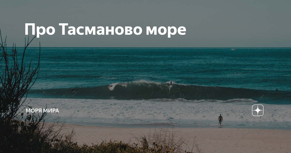 Тасманово какой океан. Тасманово море интересные факты. Характеристика тасманово море. Кто обитает в тасманово море