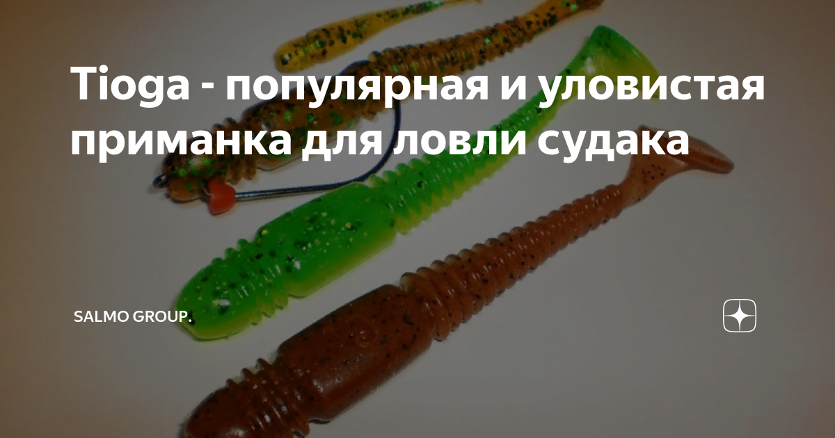 Tioga - популярная и уловистая приманка для ловли судака | Salmo Group ...