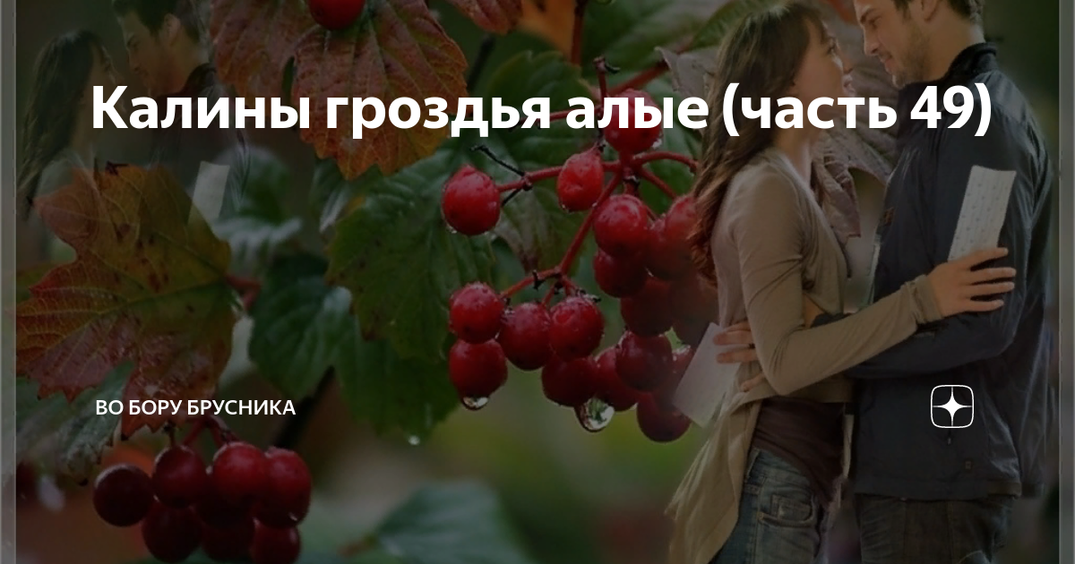 Калины гроздья алые рассказ