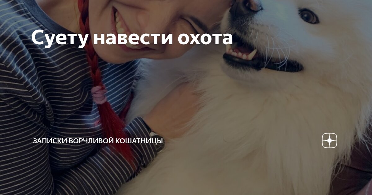 кошатница. записки ворчливой кошатницы. суматоху навести охота. ворчливая кошатница. дзен записки ворчливой кошатницы.