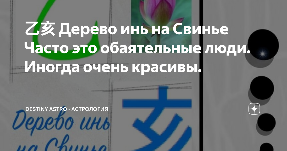 Земля инь на свинье. Дерево ян бацзы. Женщина дерево инь. Иероглиф свинья бацзы. Дерево инь на свинье.