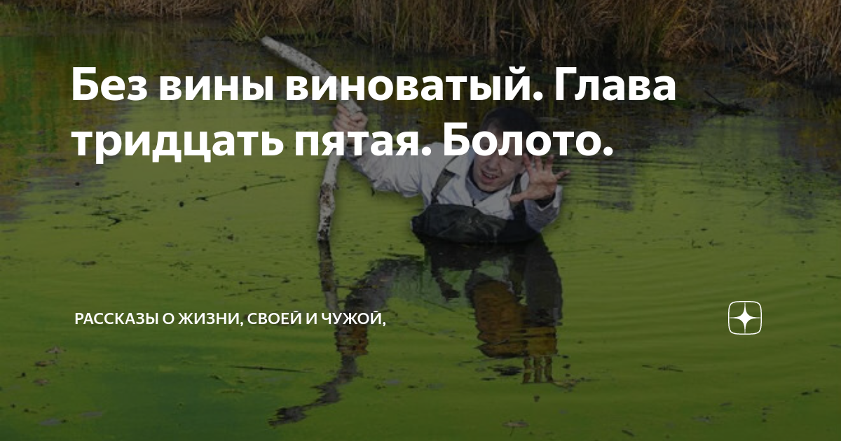 Видеокассета без вины виноватый. Без вины виноватый на дзене. Без вины виноватые. Лесли нильсен без вины виноватый. Без вины виноватые 2008.