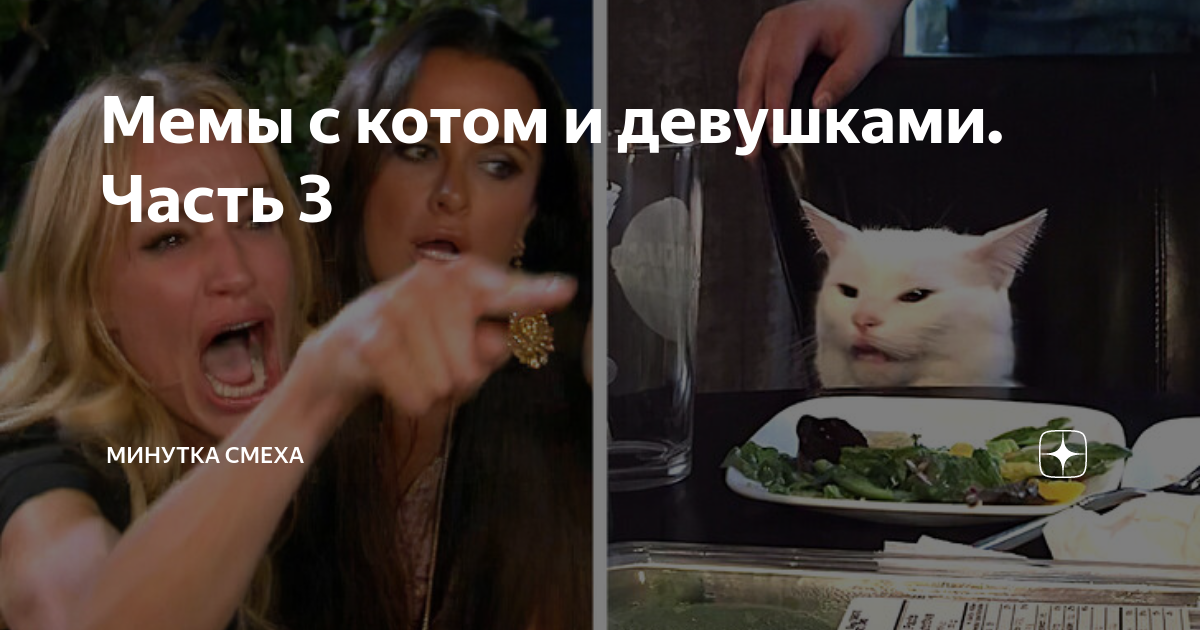 Мемы с котом) - Сообщество "Позитивов ☺ зы" на DRIVE2