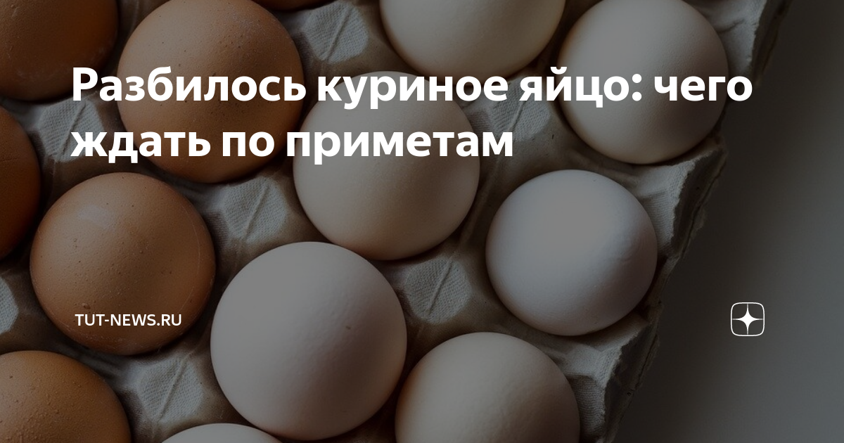 чем отличаются белые от коричневых. чем отличаются белые от коричневых. чем отличаются белые от коричневых. куры леггорн браун. куры с коричневыми яйцами.