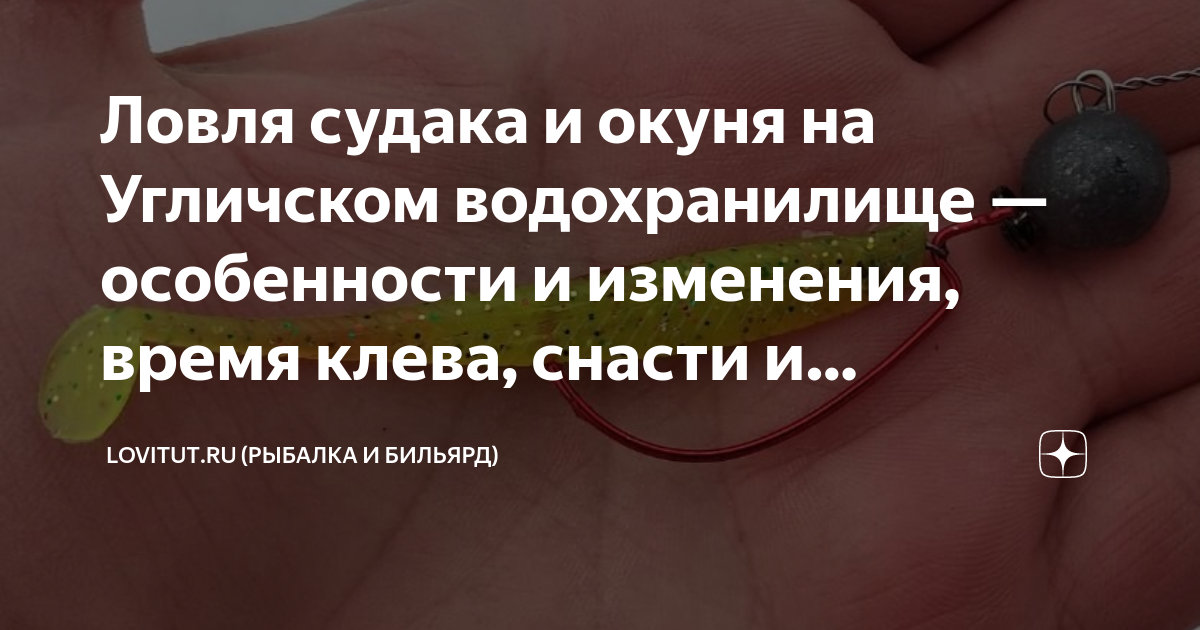 Ловля судака и окуня на Угличском водохранилище — особенности и ...
