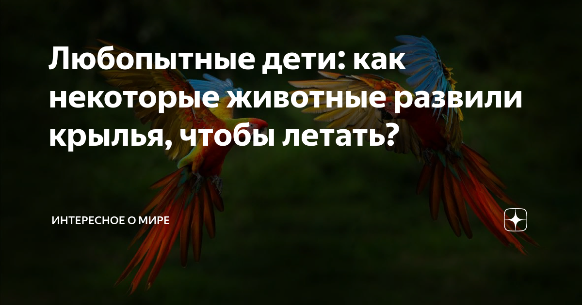 И когда придёт твоего Полета время – просто Крылья расправь и лети!...