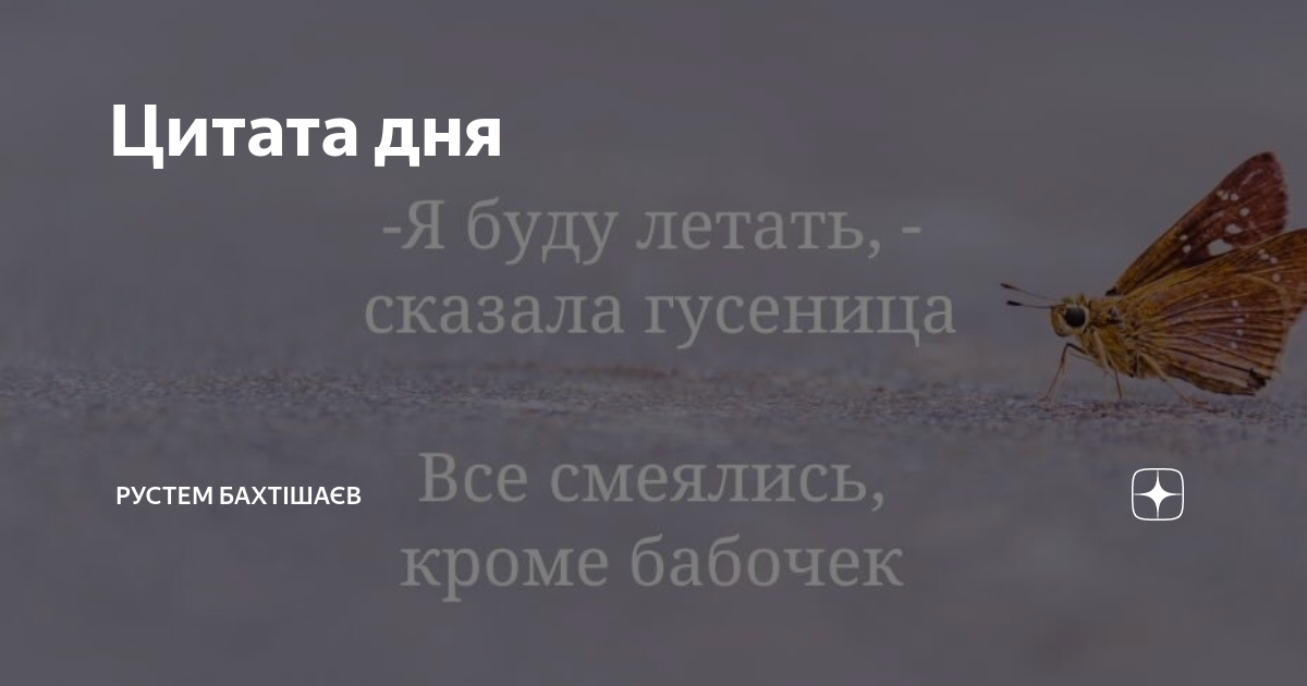 Сказала летай. Сказала летай. Сказала летай. Позитивные мотивирующие картинки. Птица свободы.