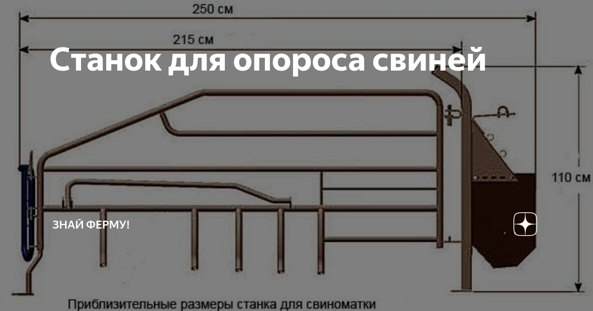 Станок для опороса свиней Знай ферму Дзен