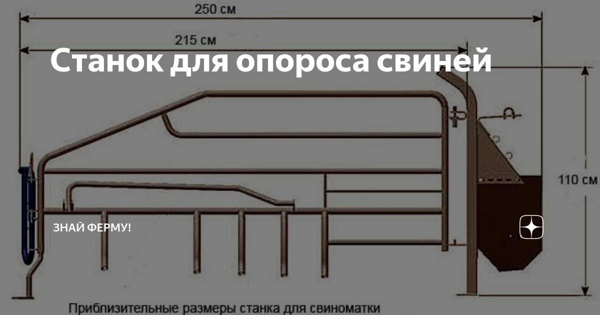 Станок для опороса свиней чертежи и размеры