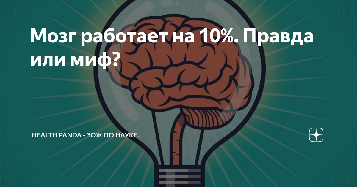 10 процентов мозга. Мозг работает. Мозг задействован на 10%. Мозг работай. Мозг человека работает.