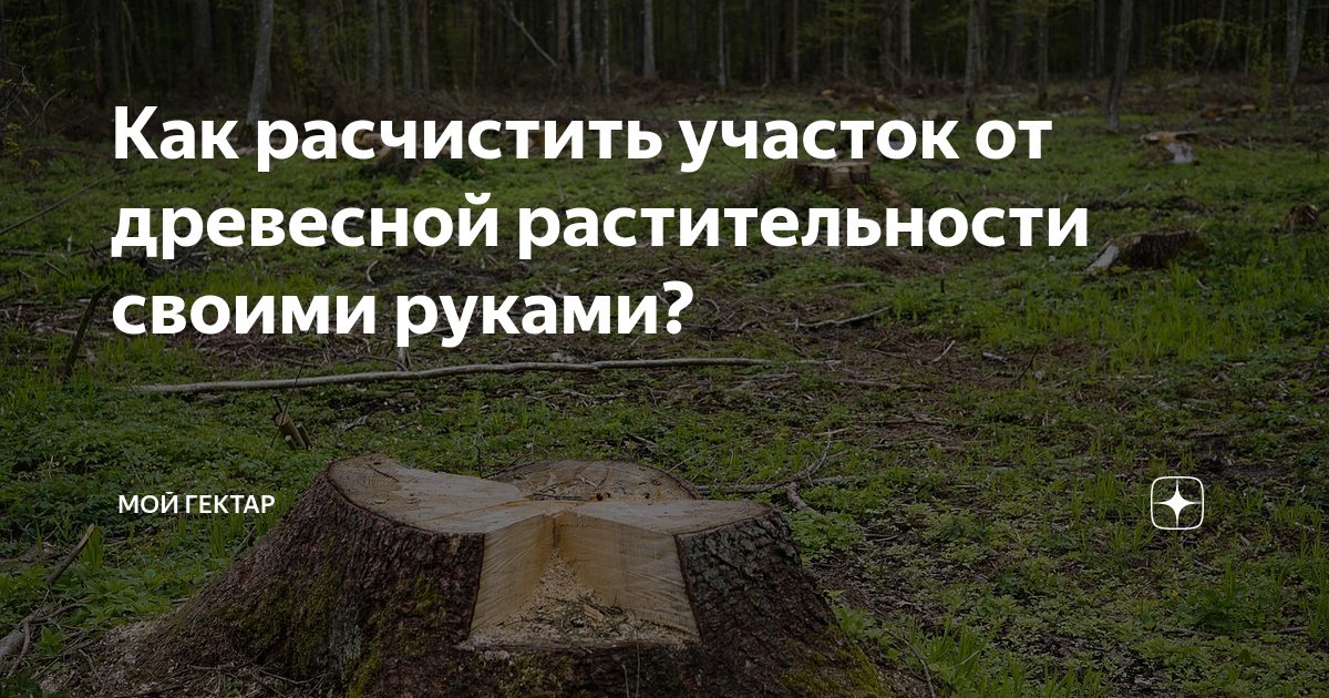 Как расчистить участок от древесной растительности своими руками? | Мой ...