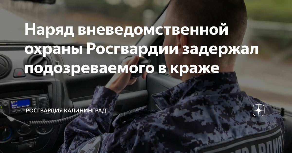 Наряд вневедомственной охраны Росгвардии задержал подозреваемого в ...