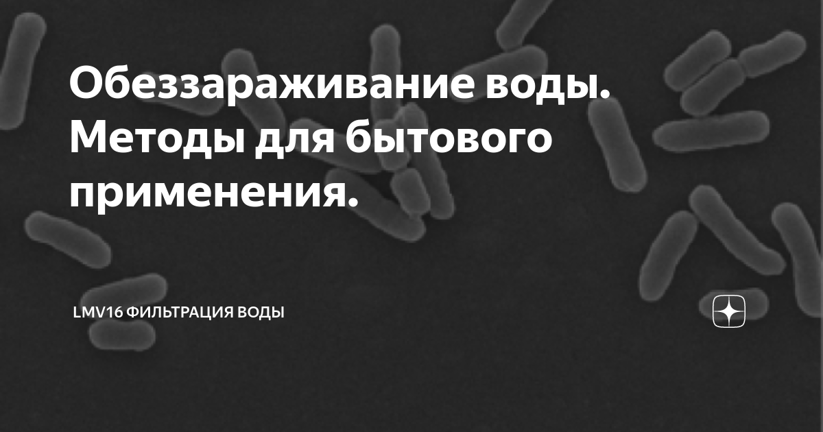 Колиформные бактерии в воде из скважины как избавиться