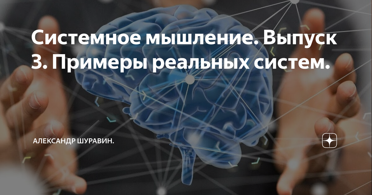 Системное мышление. Выпуск 3. Примеры реальных систем. | Александр ...