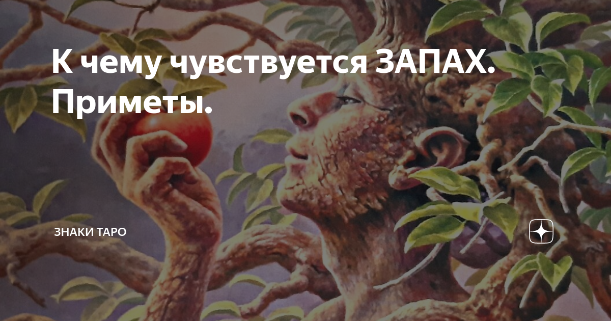 Запах рыбы: приметы и их значение для здоровья и благополучия