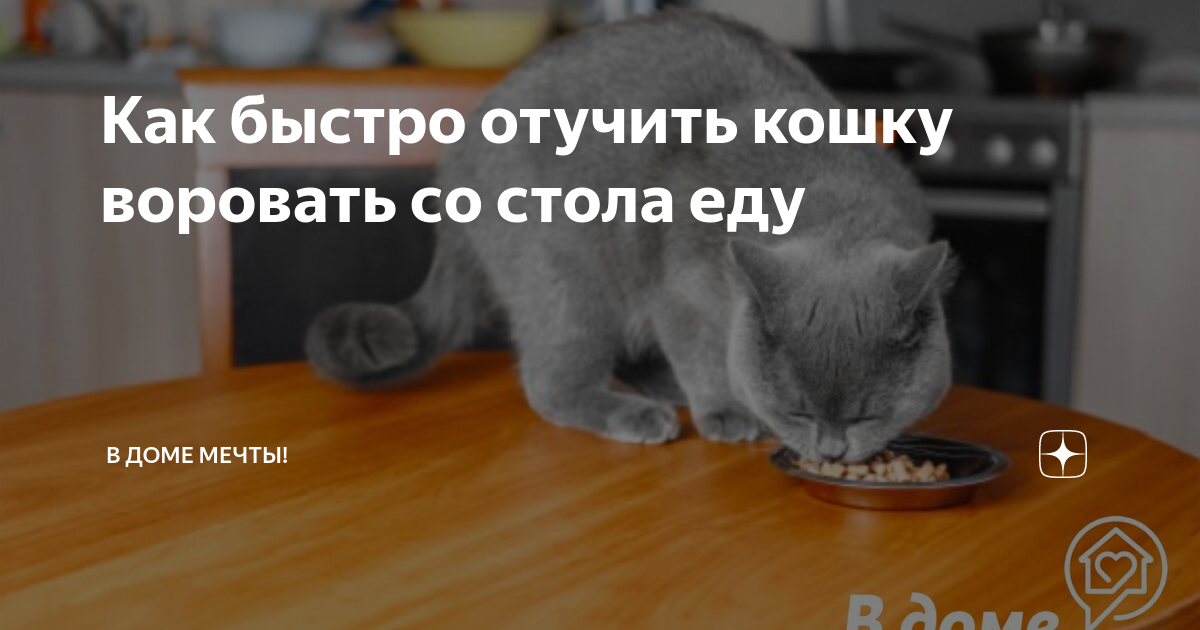 Кот тащит со стола еду