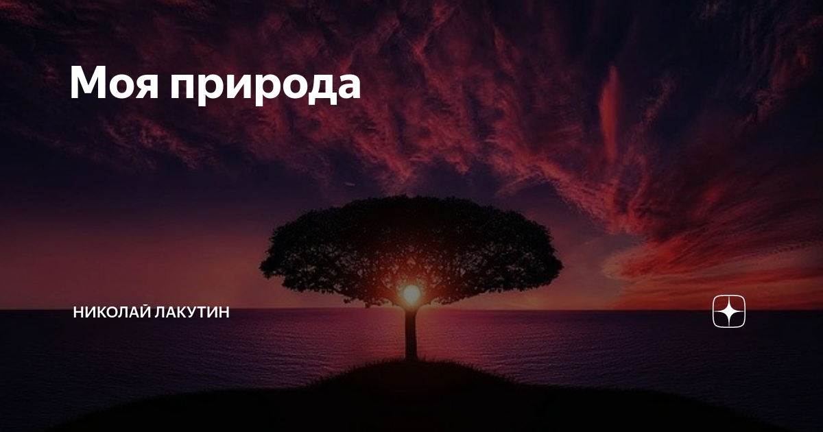 Николай Лакутин "интроверт". Николай Лакутин "скрижали". Николай Лакутин "просто друг".