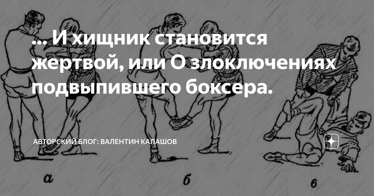 И хищник становится жертвой, или О злоключениях подвыпившего боксера ...
