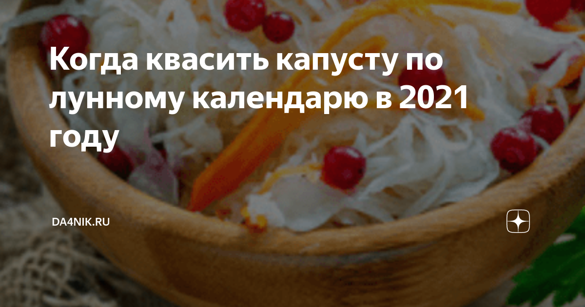 Солить капусту в декабре 2023