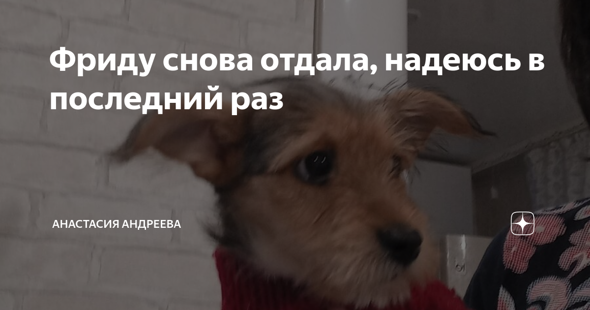 Надеяться отдать. Если закрыть в гараже жену и собаку.