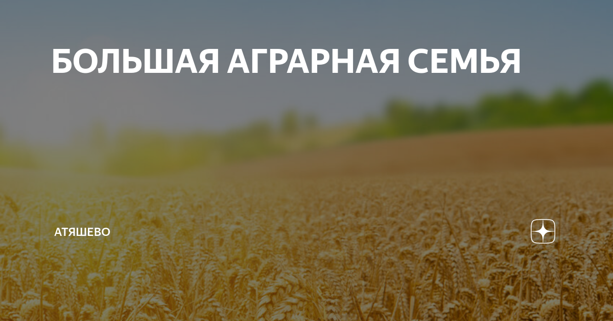 читать дзен наследство бабьего рода