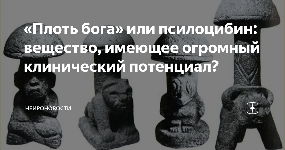 Плоть богов. Плоть бога гриб.