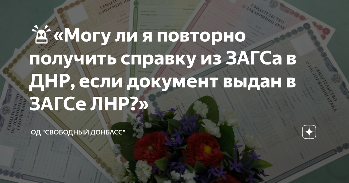 справка о смене фамилии через госуслуги. грант на стартап от государства. документ свидетельство о браке. дубликат свидетельства о рождении через госуслуги. образование загс в лнр.