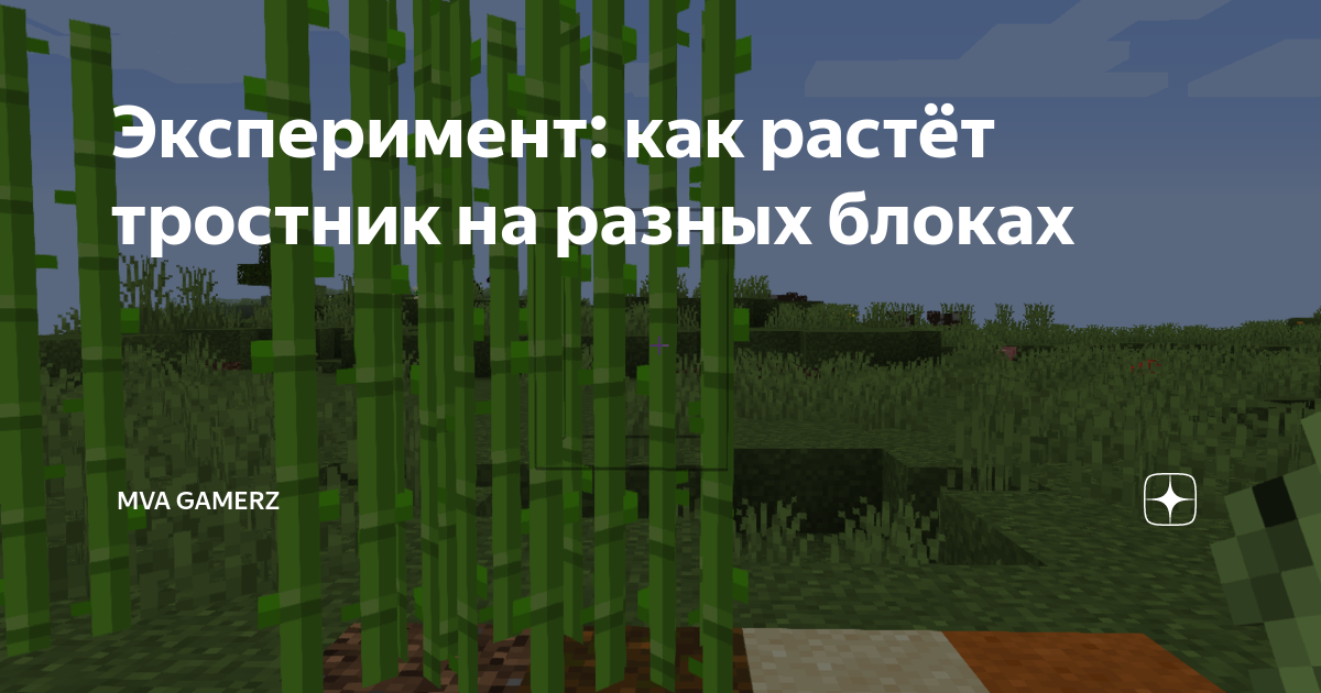 Почему не растет тростник Почему не растет тростник
