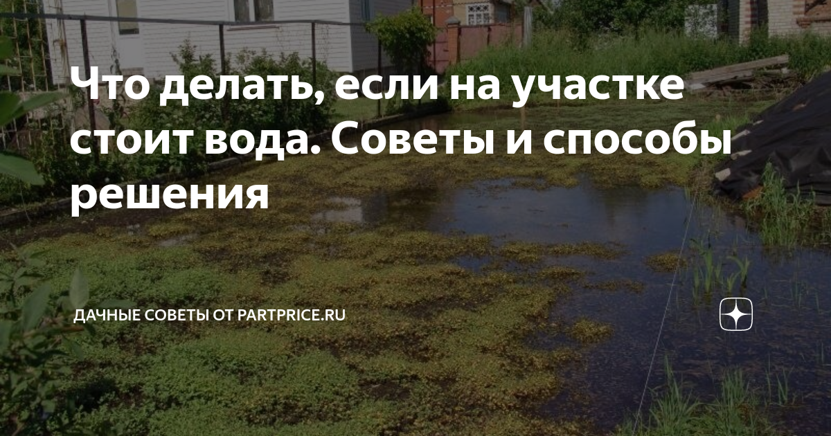 Как избавиться от воды на участке