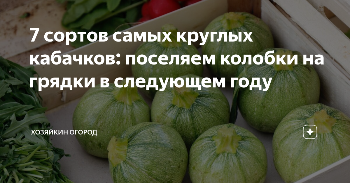 Томат семь сорок. Виды овощей. Семена овощей набор. Семь сортов. Семь сортов.