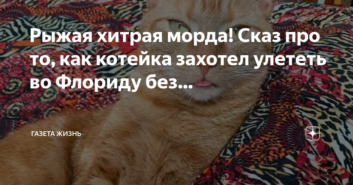 Первый месяц осени похож на хитрого рыжего