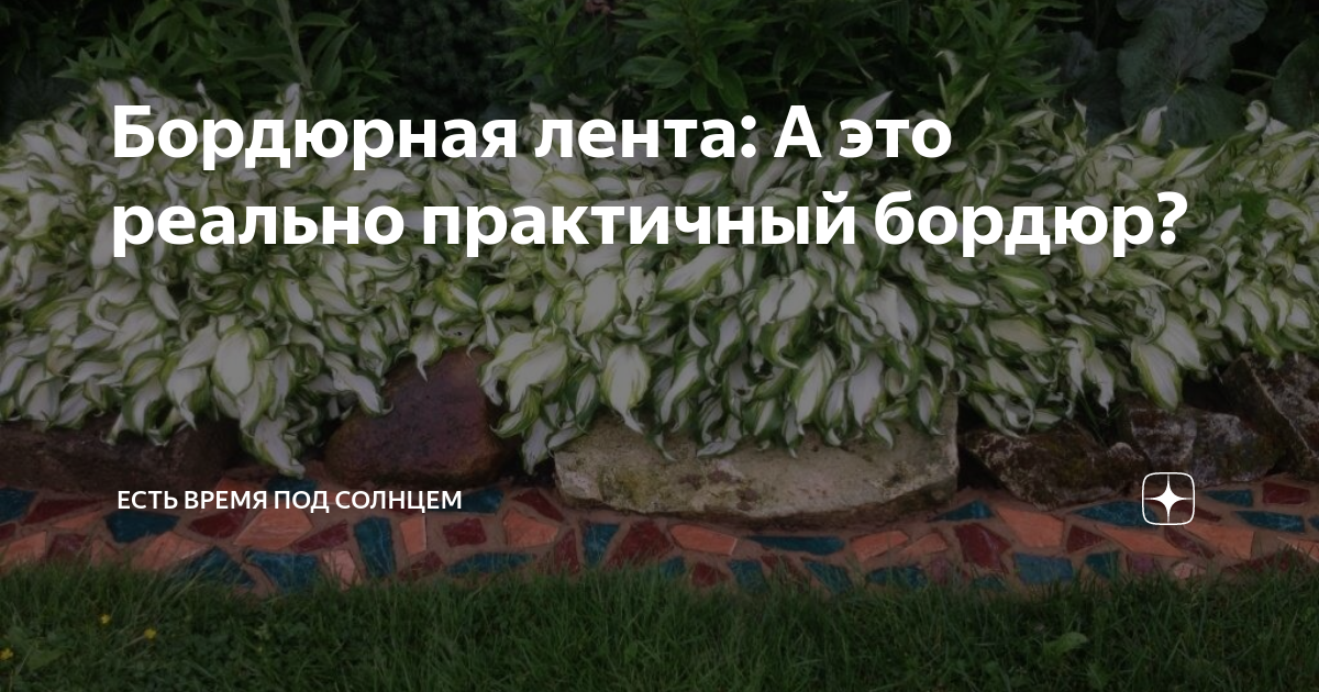 Бордюрная лента: А это реально практичный бордюр? | Есть время под ...