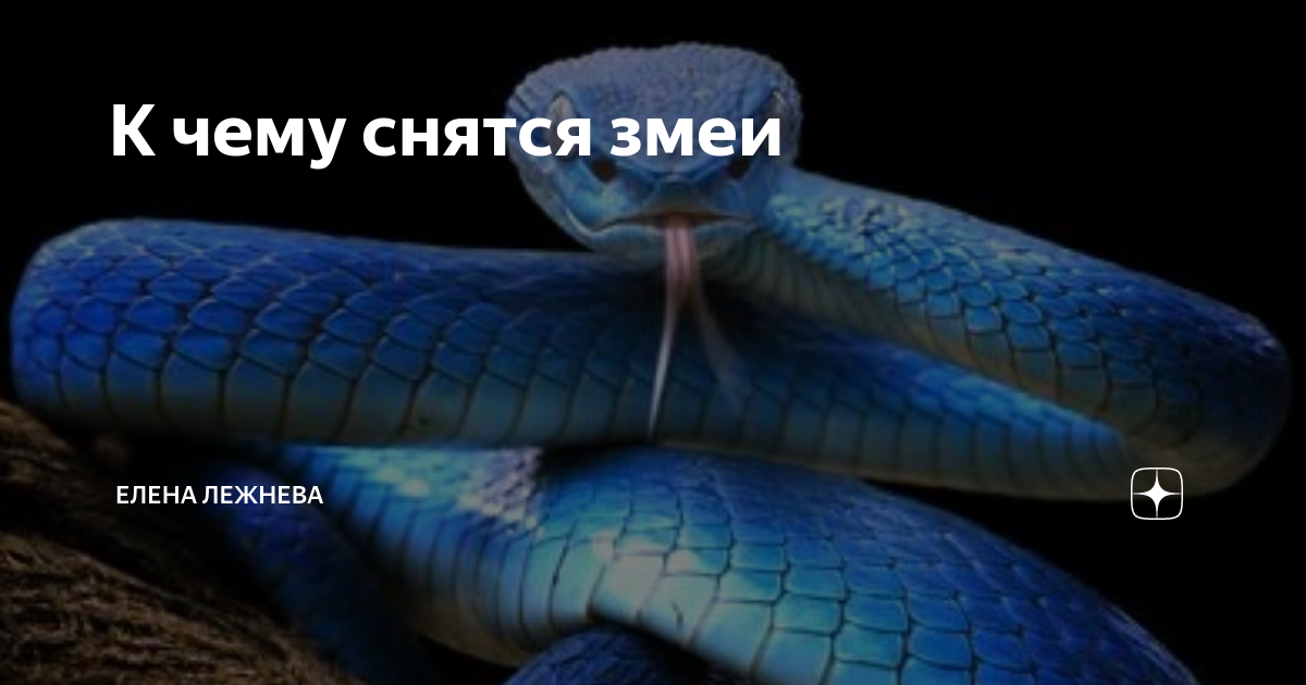 Две змеи во сне к чему снится